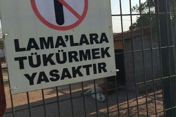 Sadece Türkiye'de Görebileceğiniz Acayiplikte 20 Güldürürken Düşündüren Yasak