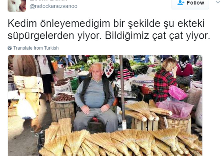 Söz Konusu Yemek Olduğunda Başı Kedilerle Tatlı Bir Belada Olan 12 Kişi