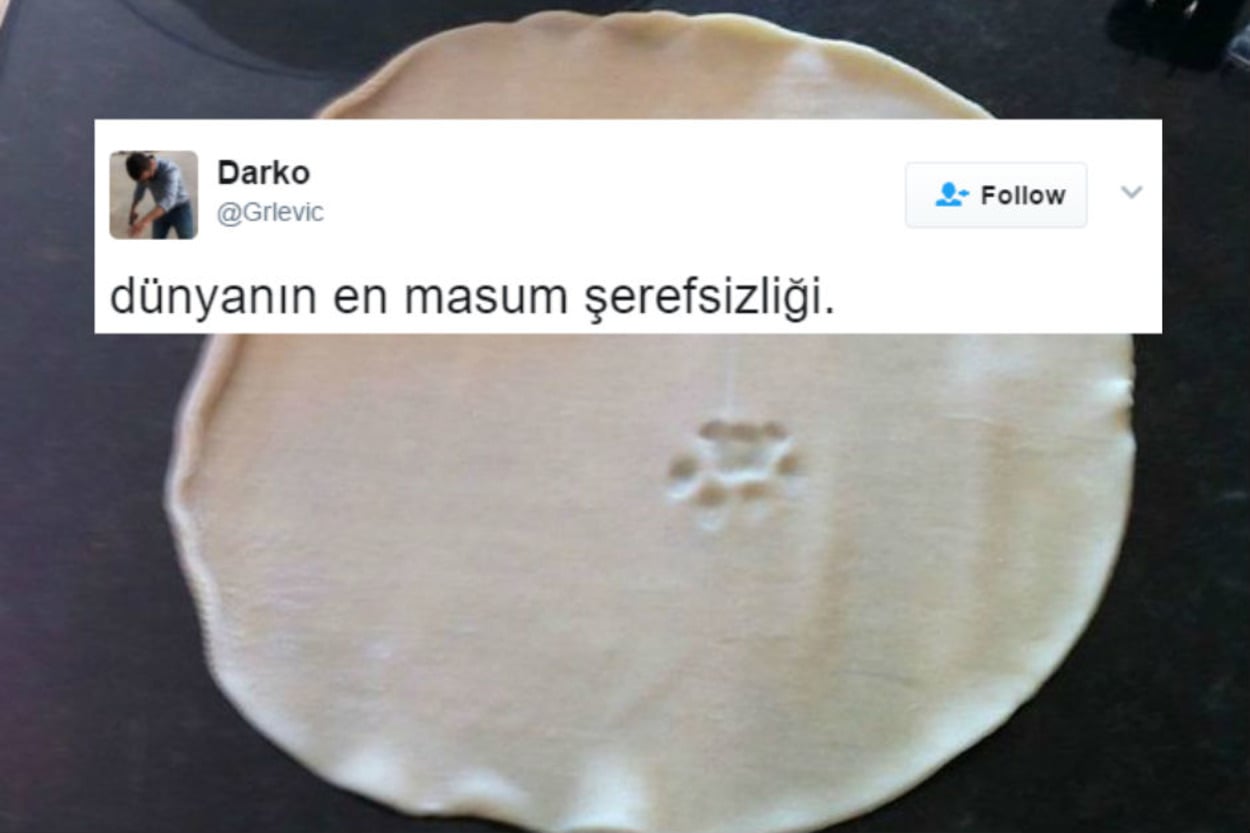 Söz Konusu Yemek Olduğunda Başı Kedilerle Tatlı Bir Belada Olan 12 Kişi