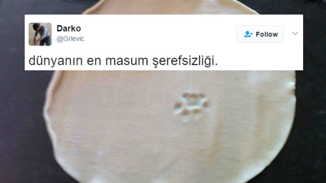 Söz Konusu Yemek Olduğunda Başı Kedilerle Tatlı Bir Belada Olan 12 Kişi