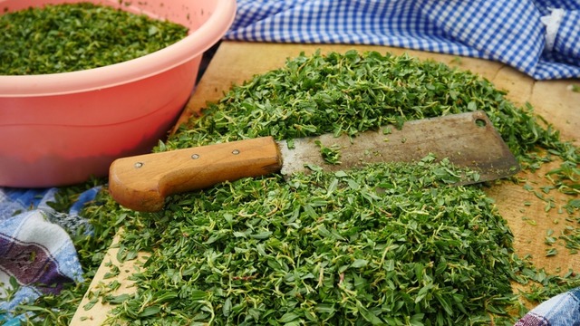 Zararı Yok, Faydası Çok: Madımak Otu