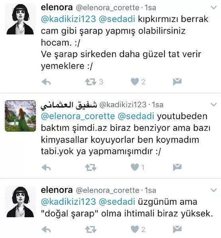 https://twitter.com/elenora_corette/status/872134874446131200 | twitter