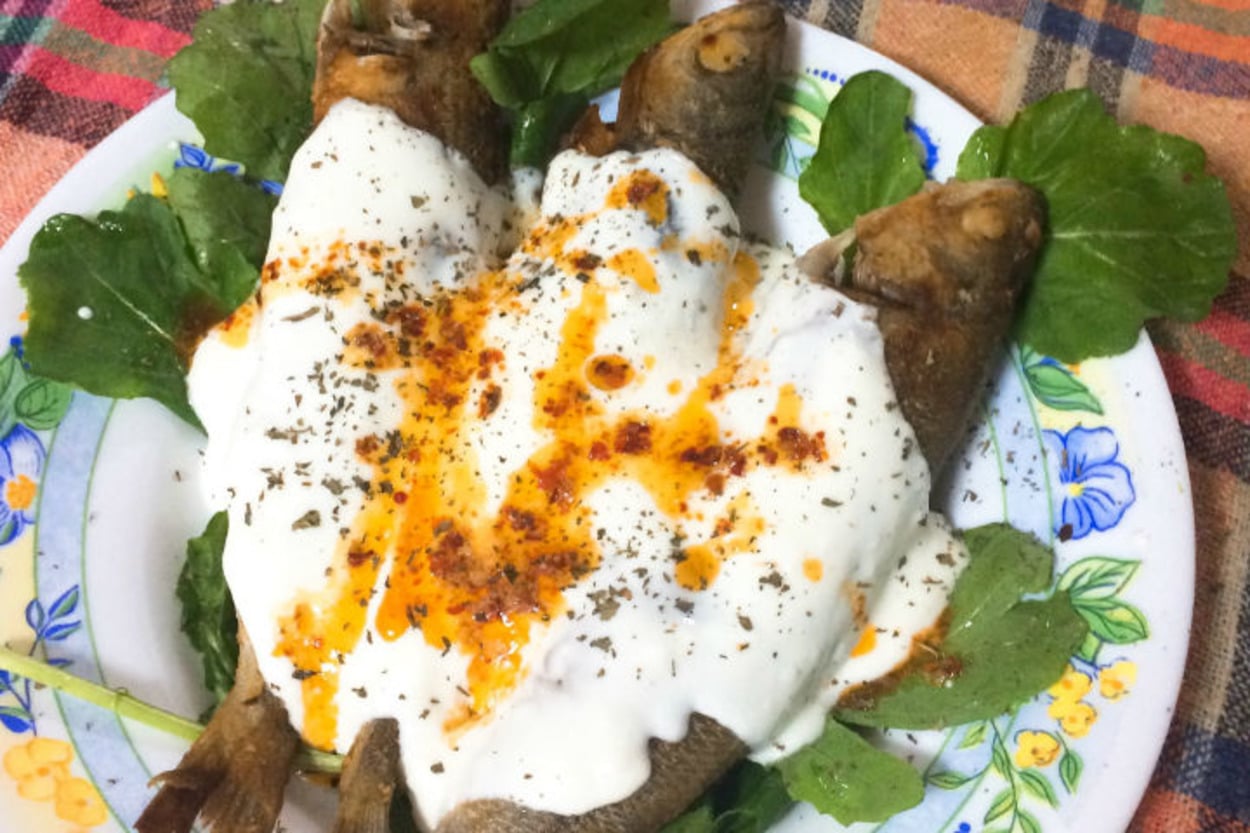 Foça'nın İncisi: Yoğurtlu Kupes