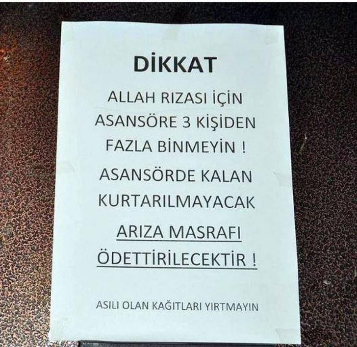 buzz-gibi