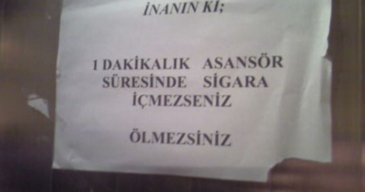buzz-gibi