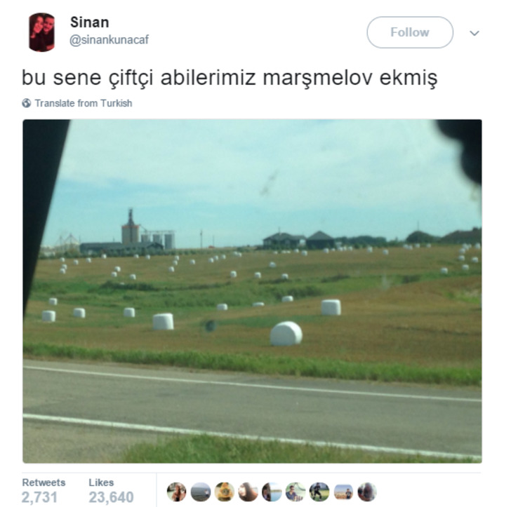 twitter