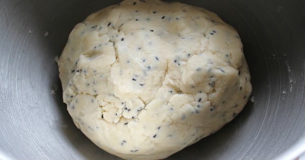 bitli-kurabiye-2