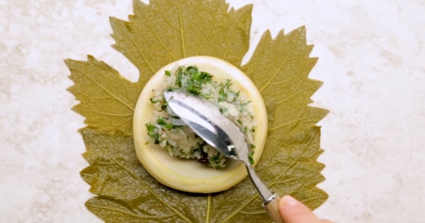 enginar-sarma-watermark-12