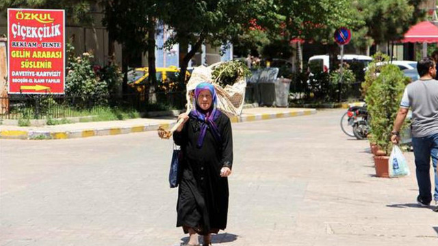 Kesilen Dut Ağacını Sofra Bezine Sarıp Belediyeye Götüren Melahat Teyze
