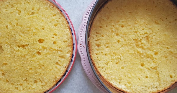 padisahyastigi8