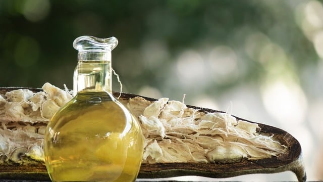 Cilt Bakımında Üstüne Tanımayan Sıra Dışı Bir İsim: Baobab Yağı