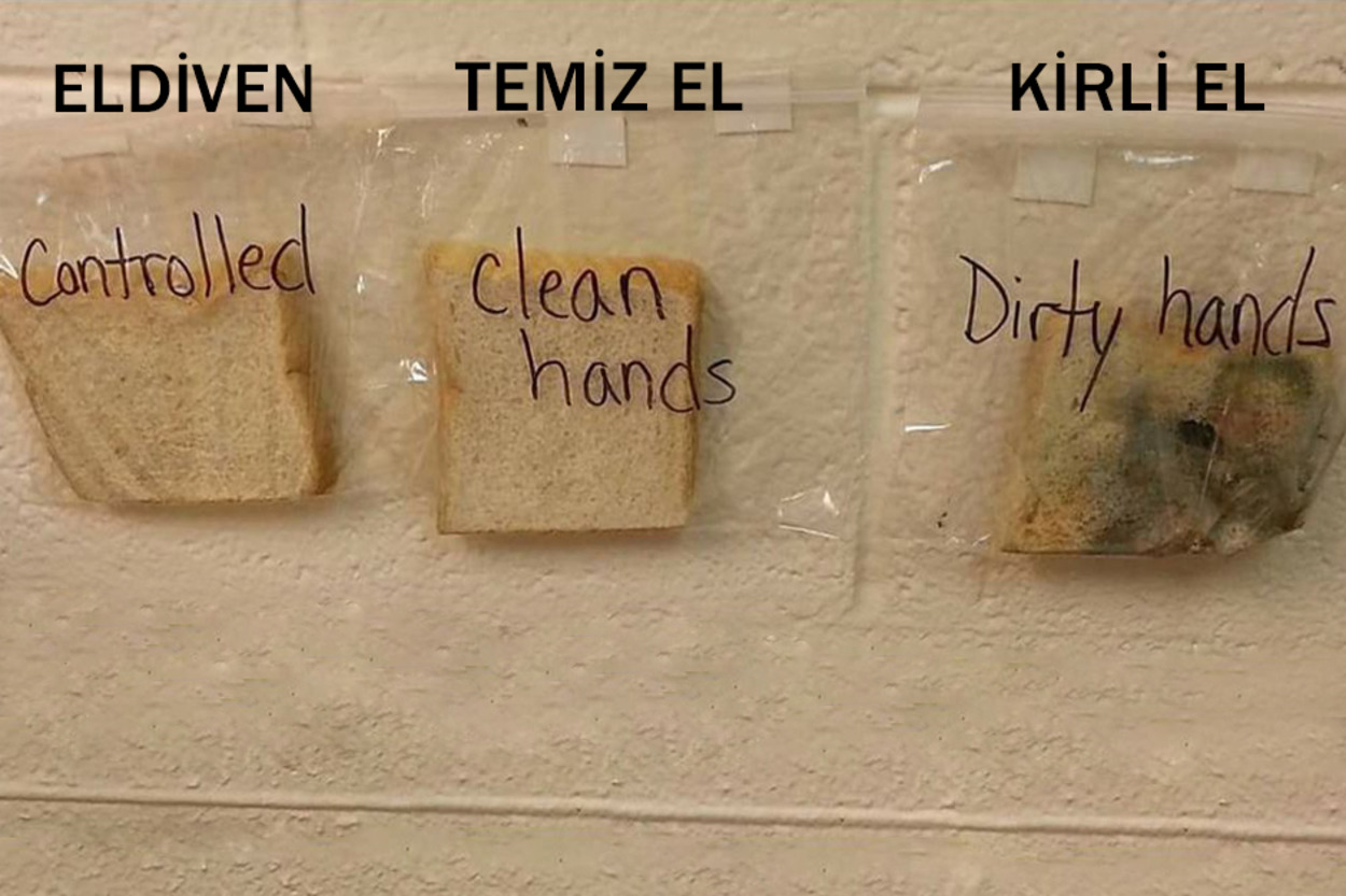 Çocuklara El Yıkamanın Önemini Sıra Dışı Bir Ekmek Deneyiyle Anlatan Öğretmen