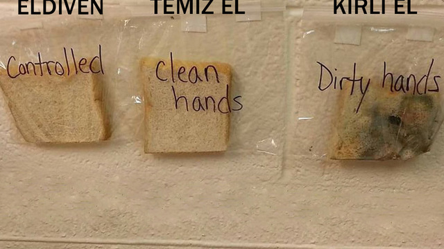 Çocuklara El Yıkamanın Önemini Sıra Dışı Bir Ekmek Deneyiyle Anlatan Öğretmen