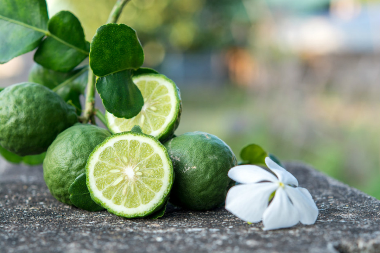 Çayından Yağına: Bergamot Nedir, Faydaları Nelerdir?