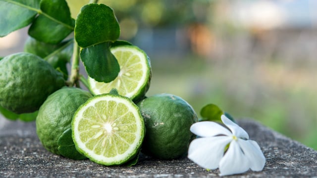 Çayından Yağına: Bergamot Nedir, Faydaları Nelerdir?