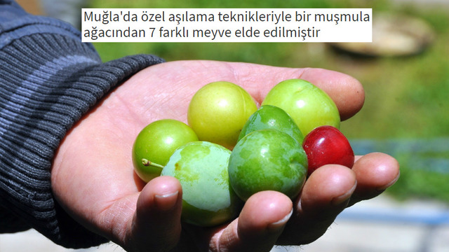Yiyecekler Hakkında Muhtemelen Daha Önce Hiç Duymadığınız 12 İlginç Bilgi