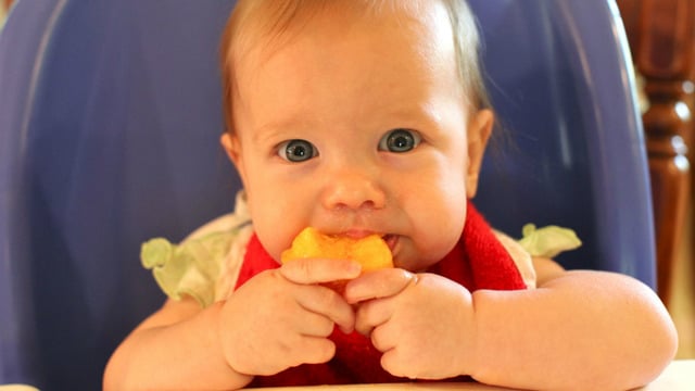 Miniğiniz Büyürken: 8 Aylık Bebek Gelişimi