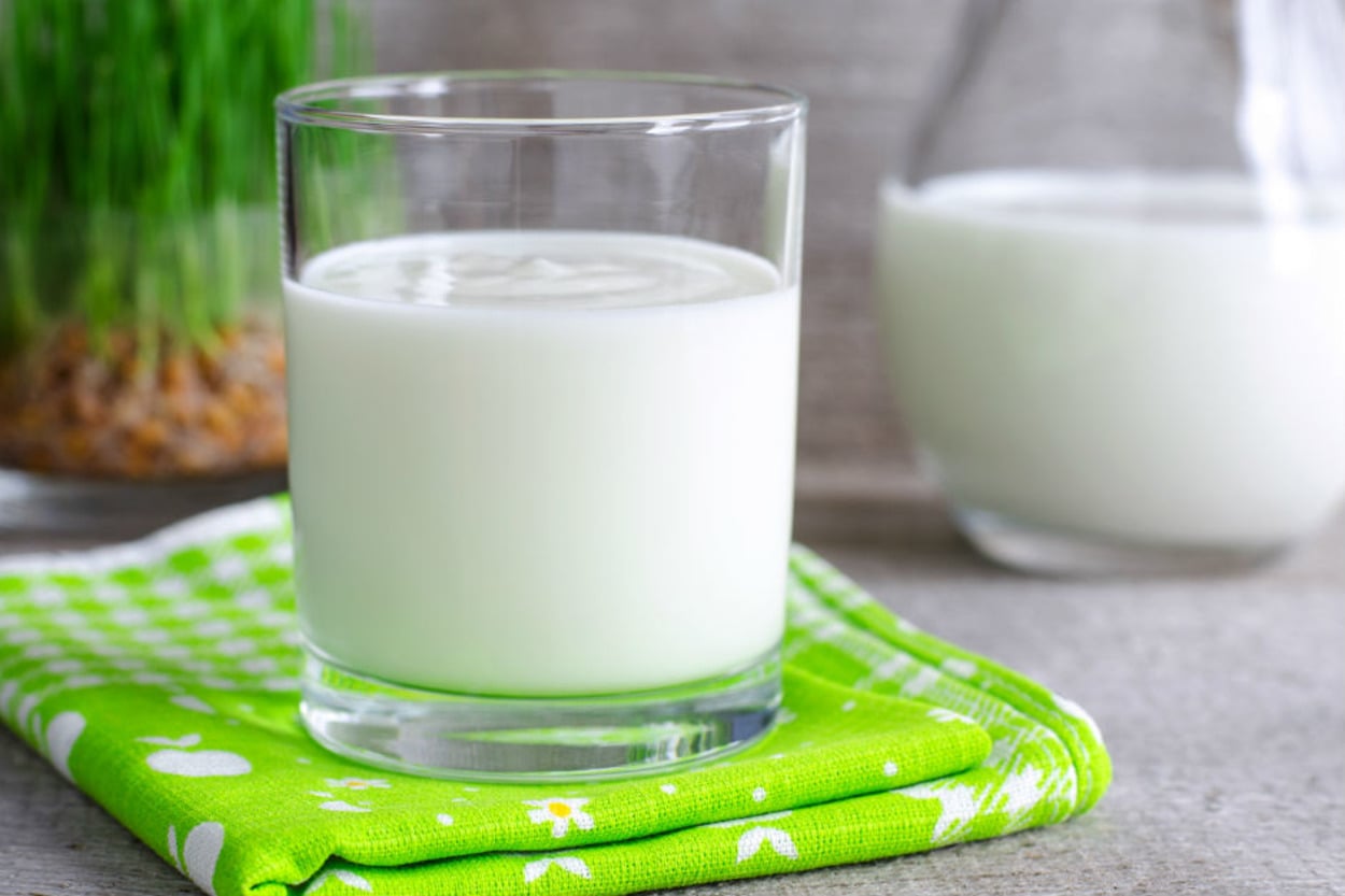 Sağlığın Lezzetli Sırrı: Ev Yapımı Kefir