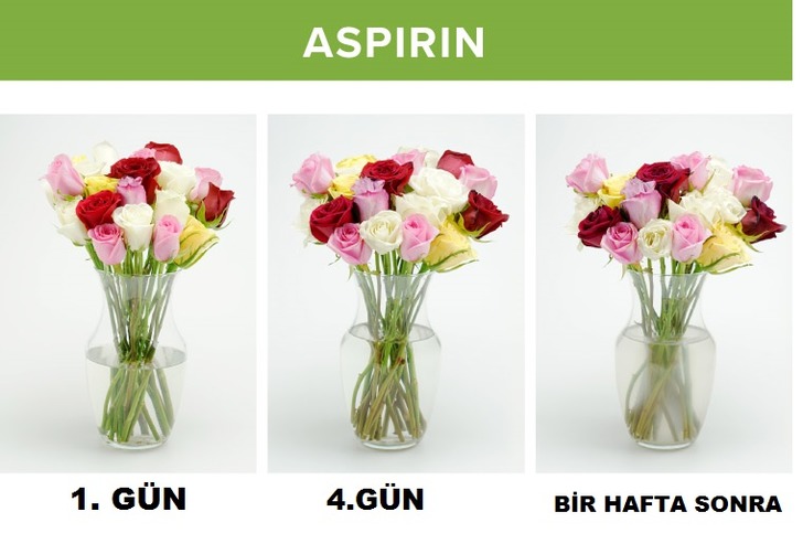 proflowers