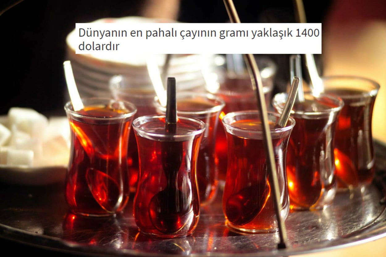 Elinizden Düşürmediğiniz Çay Hakkında Duyunca Şaşıracağınız 16 İlginç Bilgi