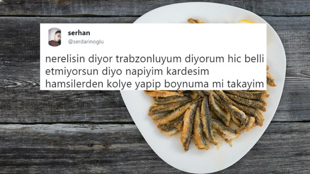 Memleketini Belli Etmek İçin Farklı Çözümler Aramak Zorunda Kalmış 14 Kişi