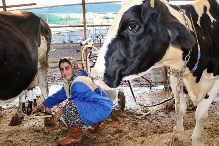 hurriyet