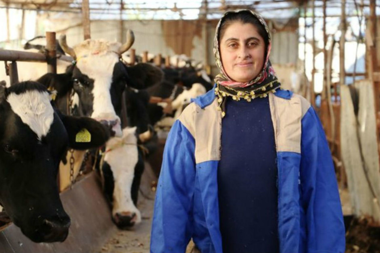 4 Bilezikle Başlayıp Süt Sağarak 1 Milyonluk Servetin Sahibi Olan Kadın