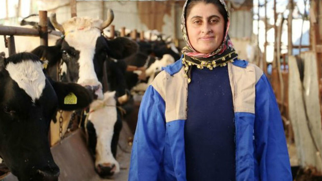4 Bilezikle Başlayıp Süt Sağarak 1 Milyonluk Servetin Sahibi Olan Kadın