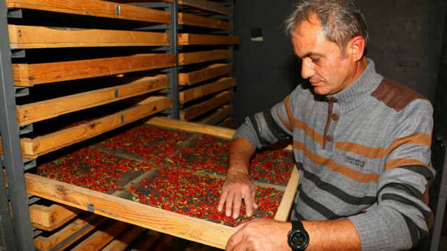Aksaray'da Hobi Olarak Yetiştirdikleri Goji Berry ile Siparişlere Yetişemeyen İkili