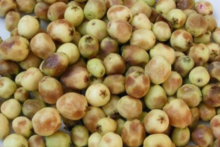karamandan
