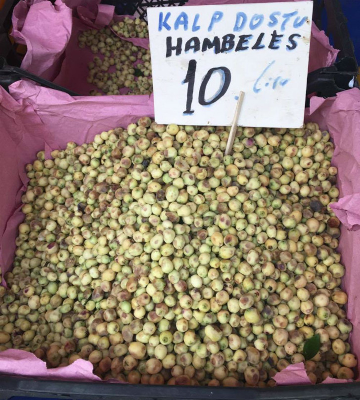 hambeles-faydalari-3