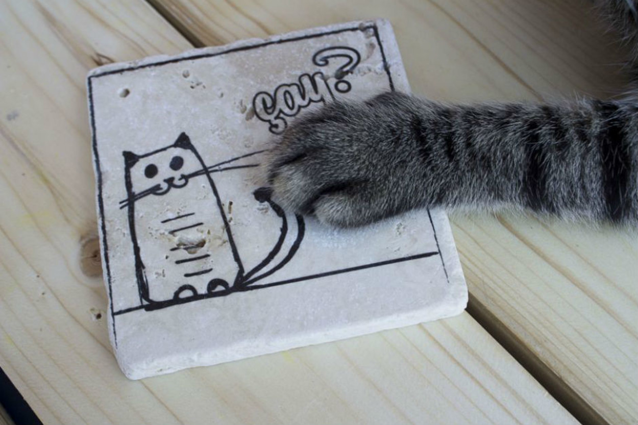 Hayatınızdaki Kedi Sever Kişiye Hediye Edebileceğiniz 16 Minnoş Mutfak Eşyası