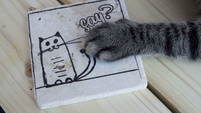 Hayatınızdaki Kedi Sever Kişiye Hediye Edebileceğiniz 16 Minnoş Mutfak Eşyası