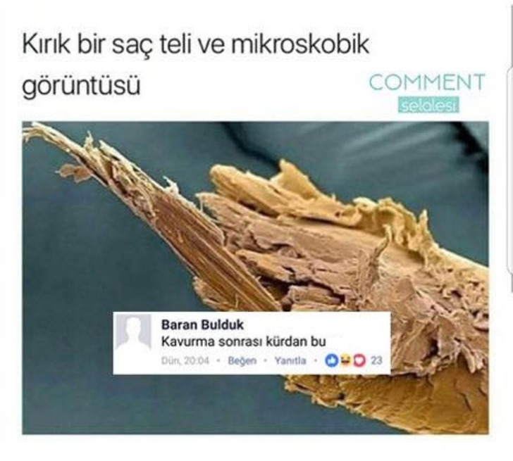 facebook/commentselalesi