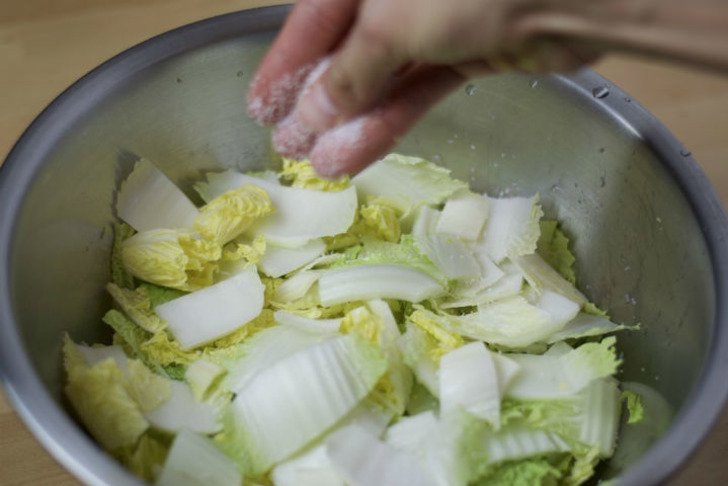 sautelyfe