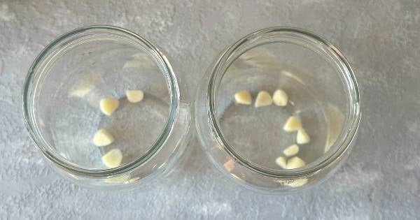 cin-biber-tursusu-2