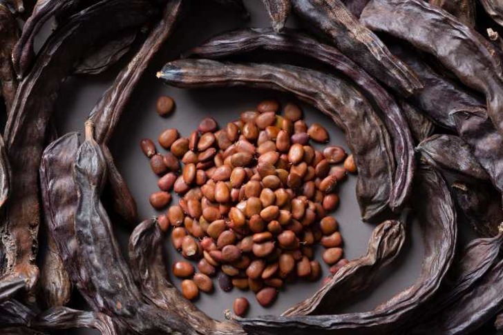 keciboynuzu-faydalari-shutter-21