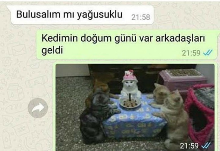 tespihouse