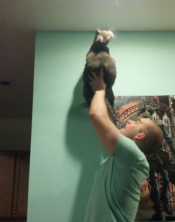 boredpanda