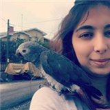 Özge Altınok