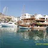 Sevim Vatansever Kalkan