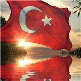 Mehmet Firat Firat