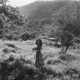 Beyza Tosun