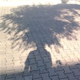Uğur Bolat