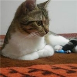 Burak Kaya