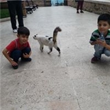 Ela Zeydan Yılmaz