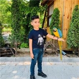 Hamzah Alasmar
