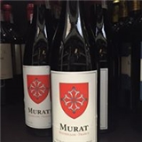 Murat Orhon