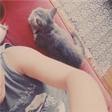 Gonca Çetinkaya