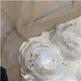 Hamida_Adigozalova
